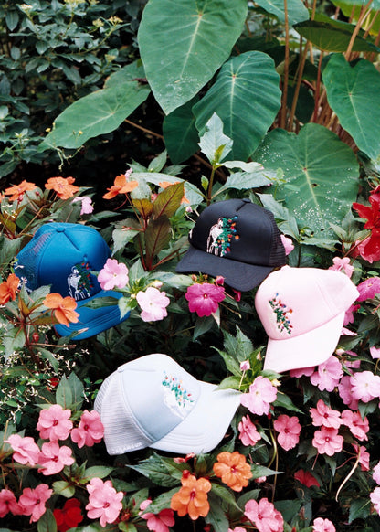 Trucker cap BLUME